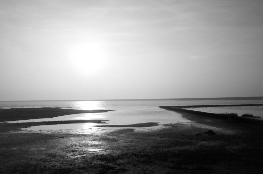 wattenmeer